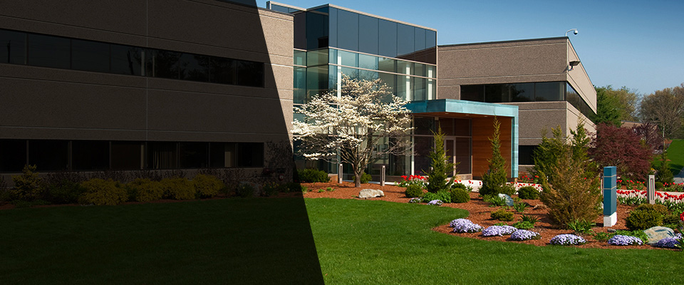 Mount Royal Landscapers