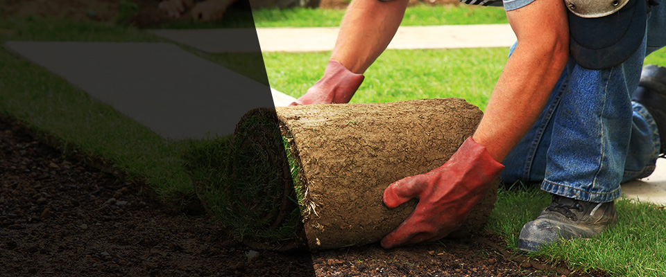 Mount Royal Landscapers